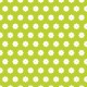 Petites fleurs blanches fond vert - zoom