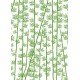 Bambou feuilles et tige - vert - petit
