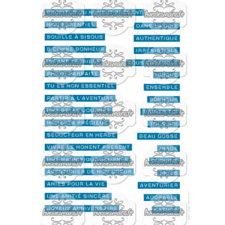 Etiquettes Dymo bleues français - minipack - stamp