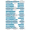 Etiquettes Dymo bleues français - minipack - stamp