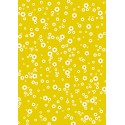 Petites fleurs blanches sur fond jaune